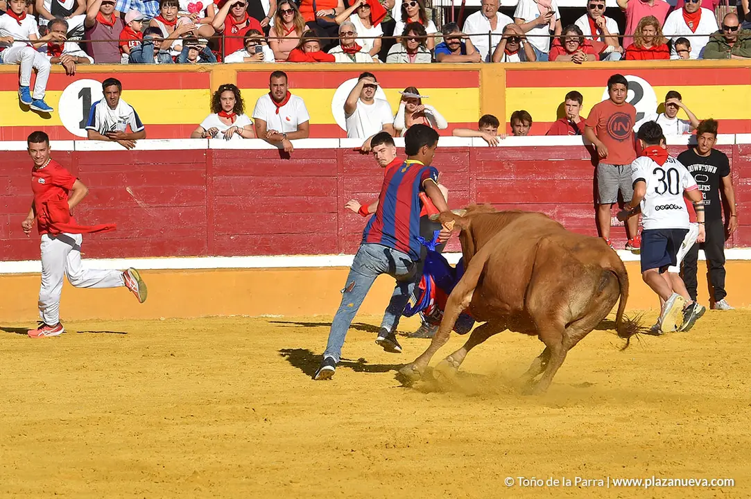 Encierro d&iacute;a 27, Fiestas de Tudela 2022 - 39