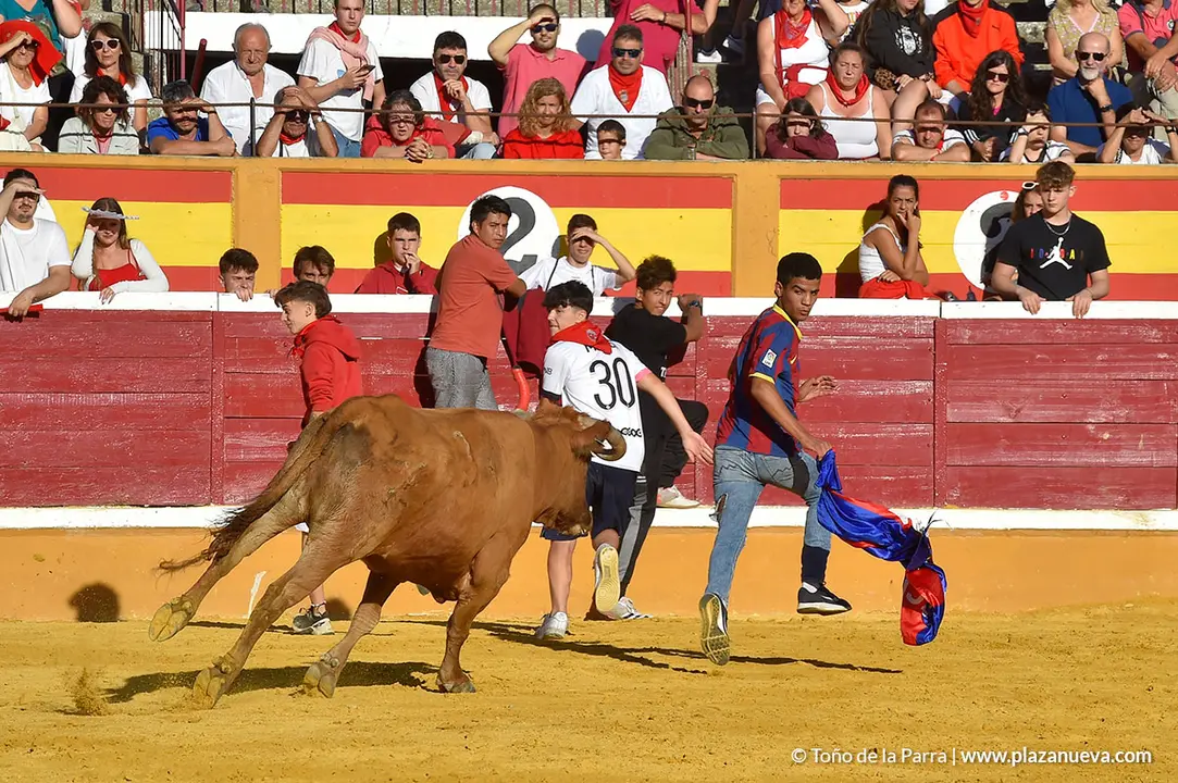 Encierro d&iacute;a 27, Fiestas de Tudela 2022 - 40