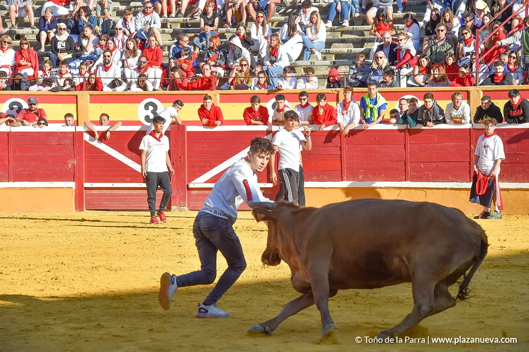 Encierro d&iacute;a 27, Fiestas de Tudela 2022 - 41