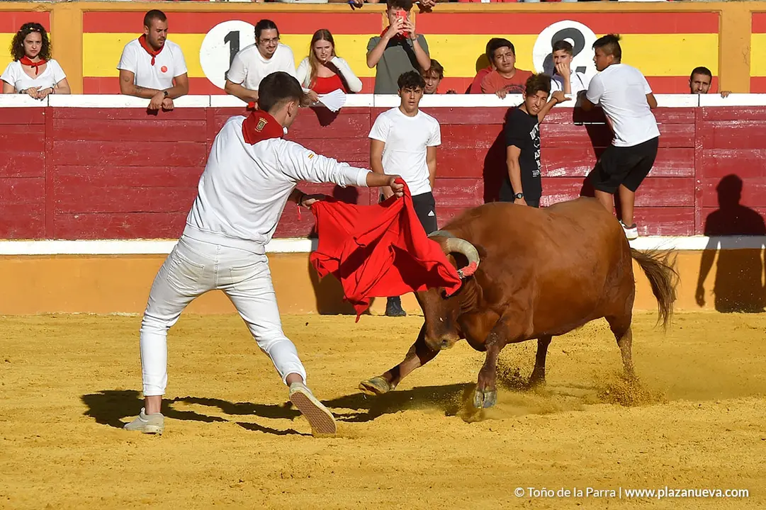 Encierro d&iacute;a 27, Fiestas de Tudela 2022 - 43