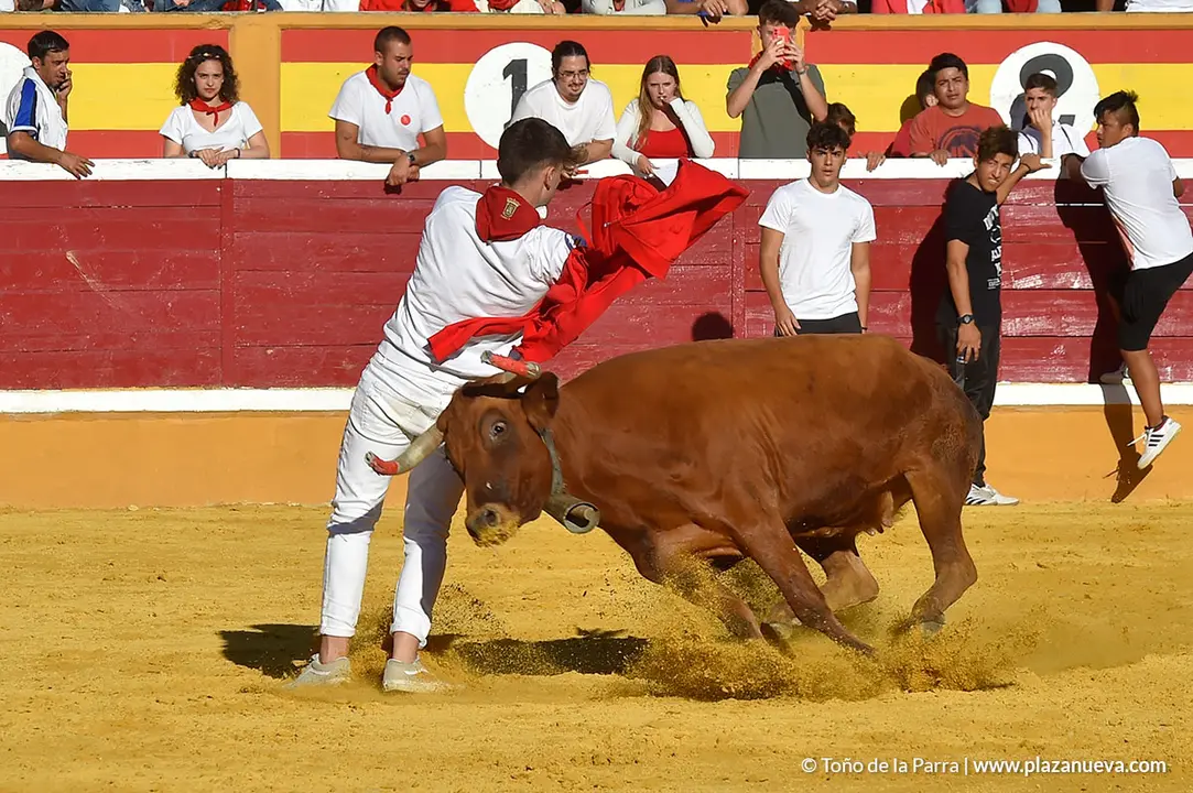 Encierro d&iacute;a 27, Fiestas de Tudela 2022 - 44