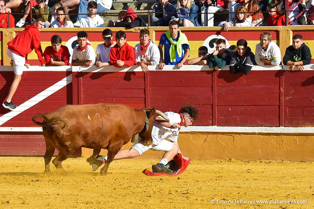 Encierro d&iacute;a 27, Fiestas de Tudela 2022 - 45