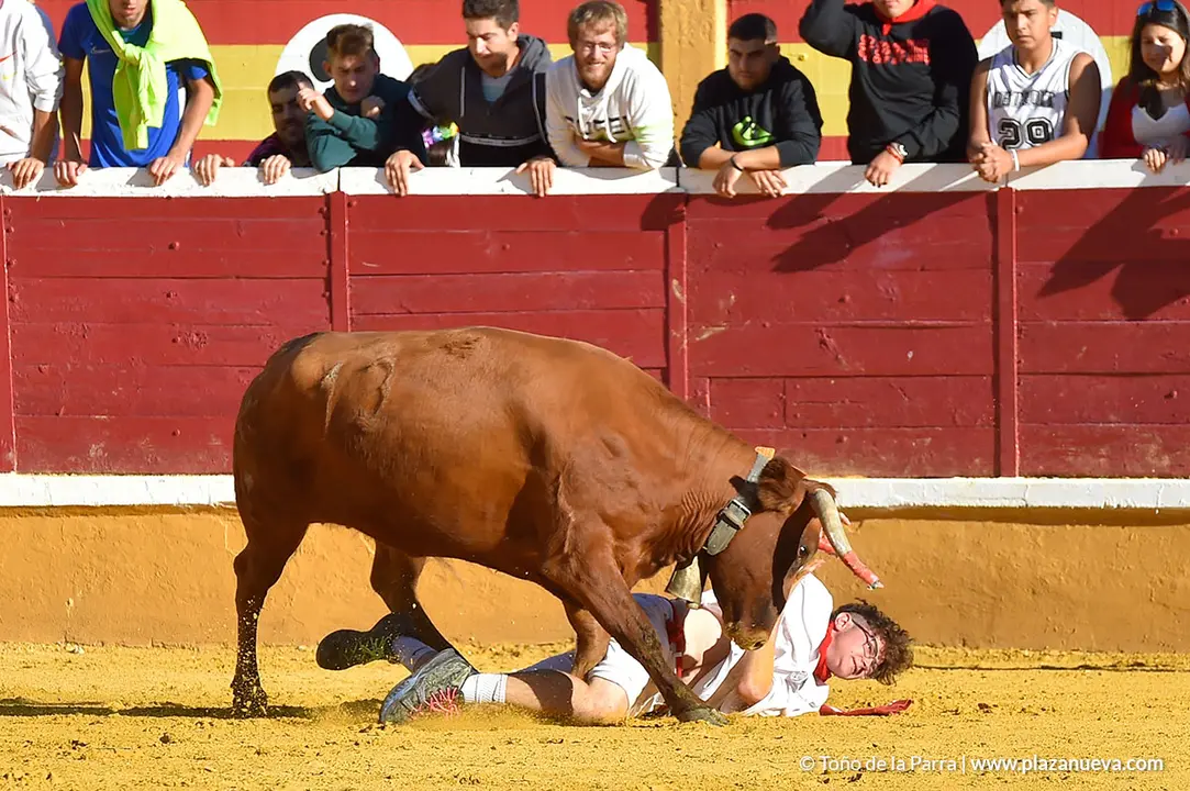 Encierro d&iacute;a 27, Fiestas de Tudela 2022 - 46