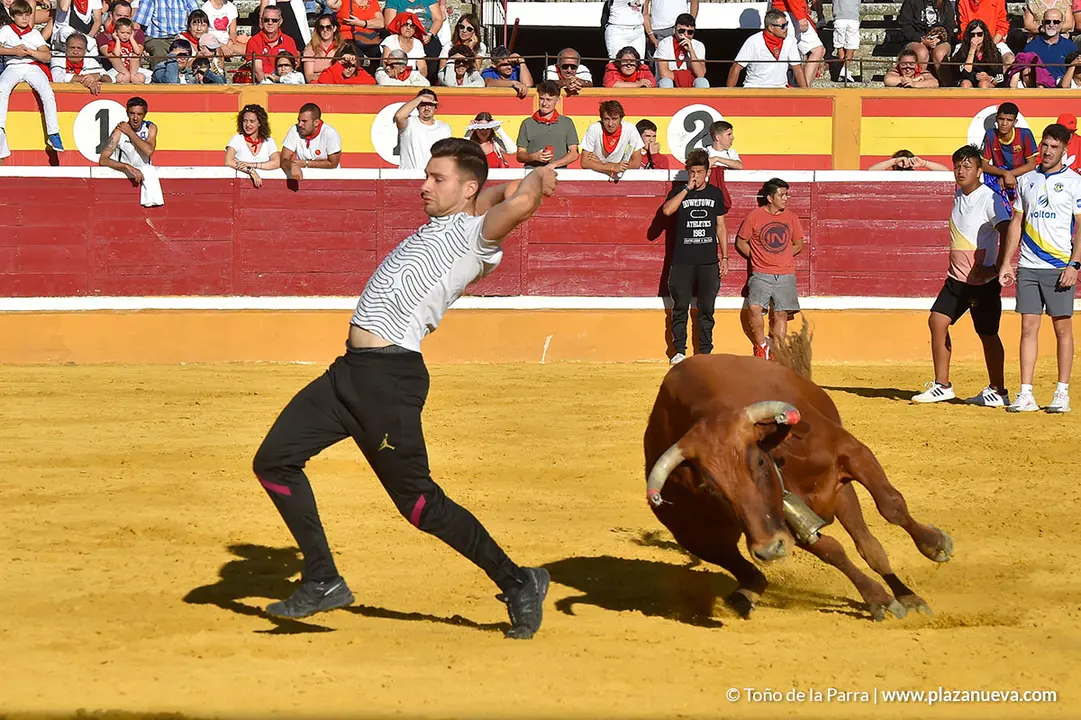 Encierro d&iacute;a 27, Fiestas de Tudela 2022 - 47