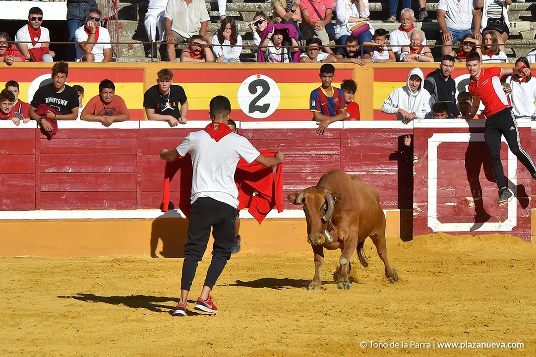 Encierro d&iacute;a 27, Fiestas de Tudela 2022 - 48