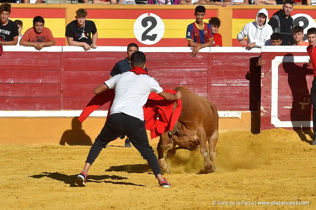 Encierro d&iacute;a 27, Fiestas de Tudela 2022 - 49