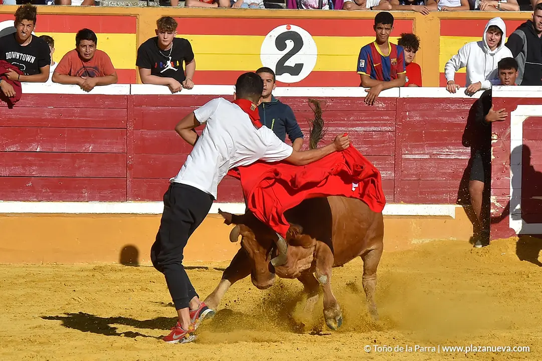 Encierro d&iacute;a 27, Fiestas de Tudela 2022 - 50
