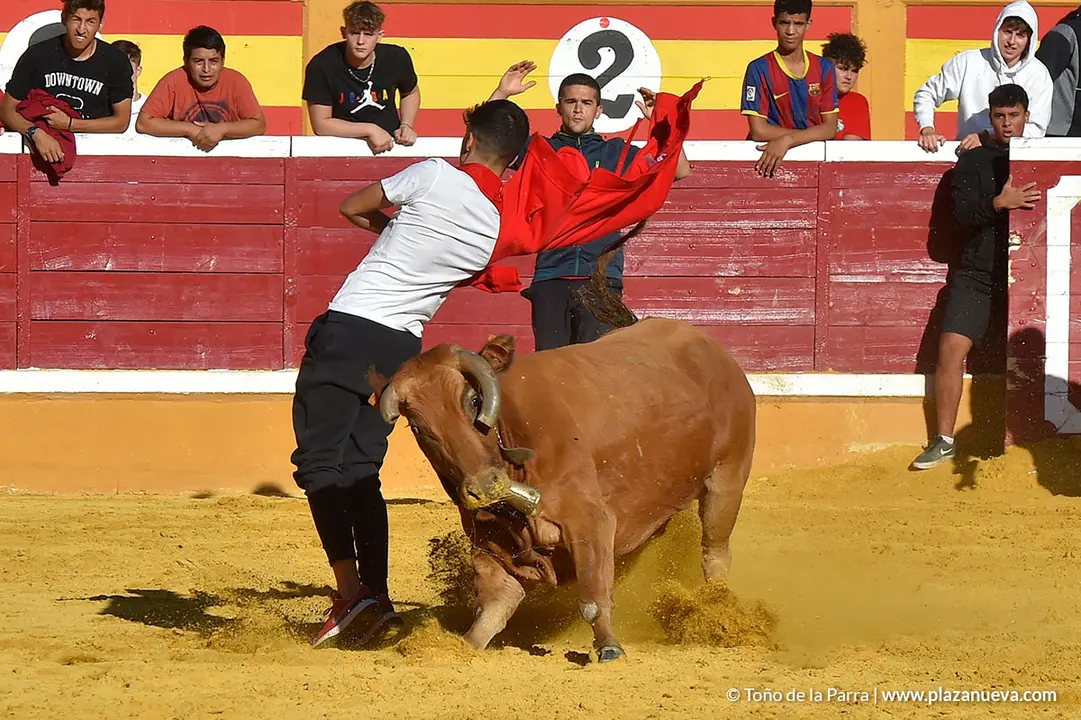 Encierro d&iacute;a 27, Fiestas de Tudela 2022 - 51