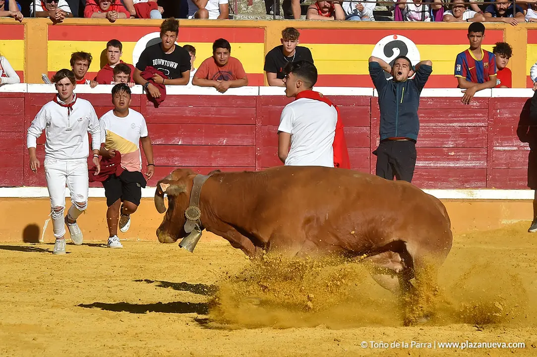 Encierro d&iacute;a 27, Fiestas de Tudela 2022 - 52