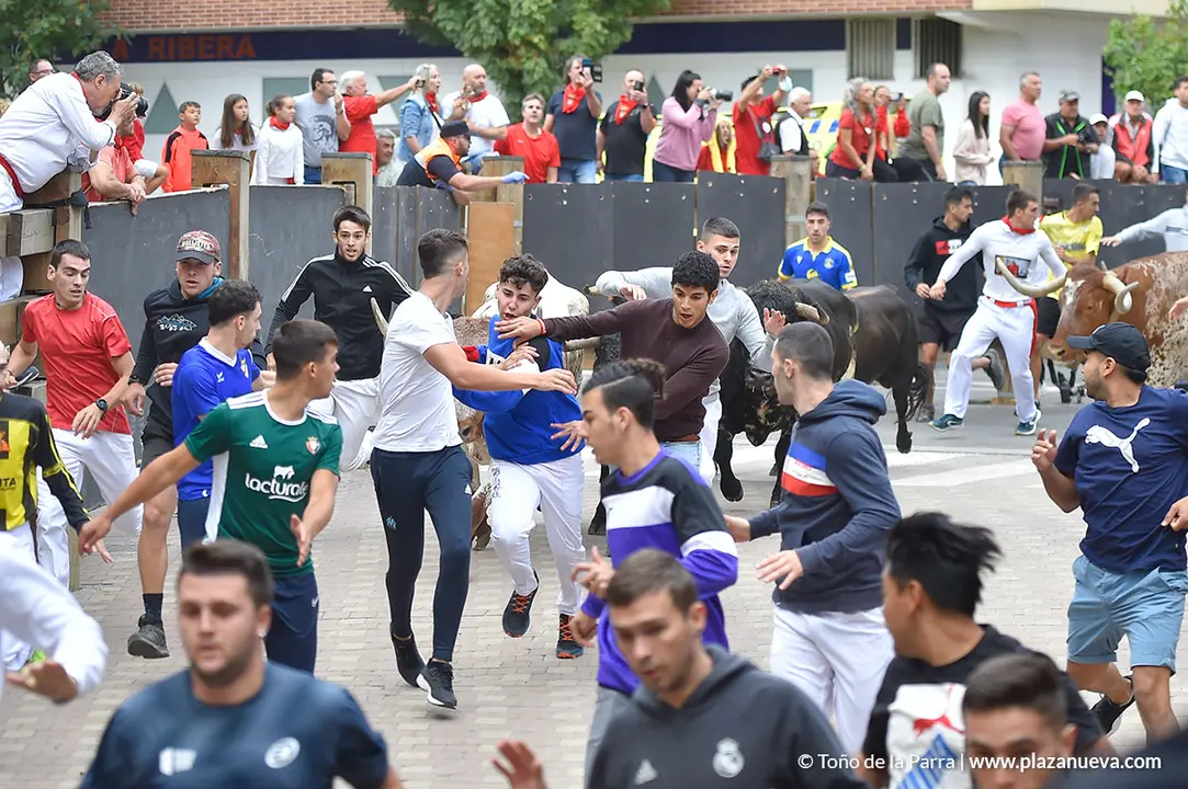 Encierro d&iacute;a 29, Fiestas de Tudela 2022 - 03