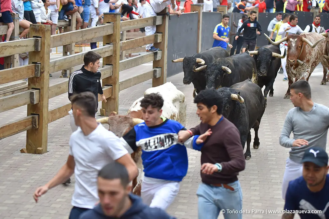 Encierro d&iacute;a 29, Fiestas de Tudela 2022 - 04