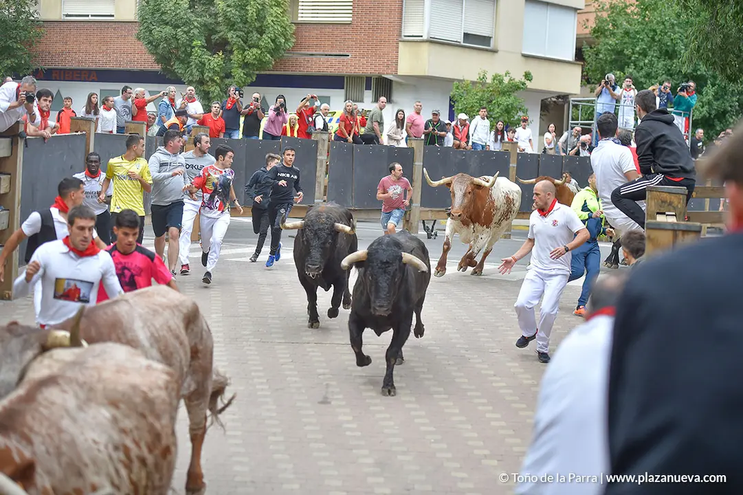 Encierro d&iacute;a 29, Fiestas de Tudela 2022 - 06