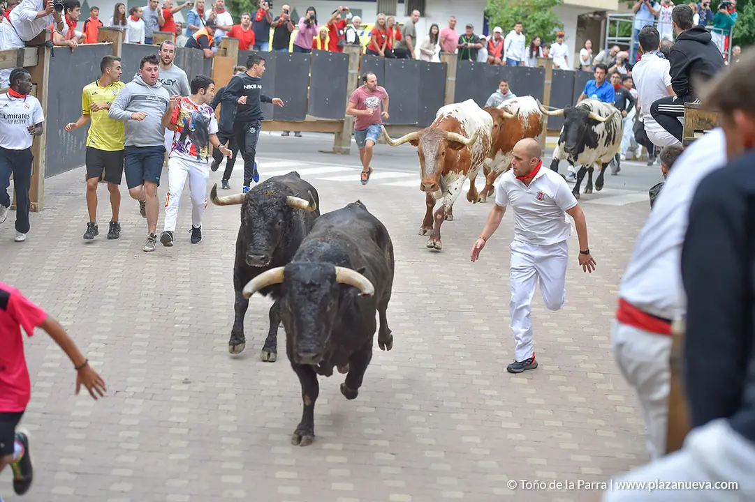 Encierro d&iacute;a 29, Fiestas de Tudela 2022 - 07