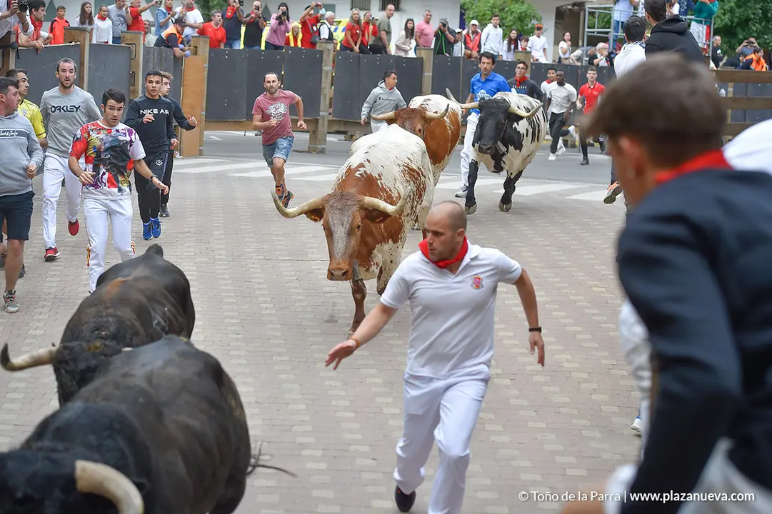 Encierro d&iacute;a 29, Fiestas de Tudela 2022 - 08