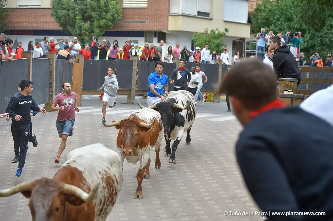 Encierro d&iacute;a 29, Fiestas de Tudela 2022 - 09
