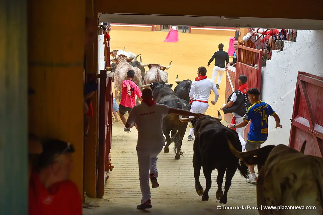Encierro d&iacute;a 29, Fiestas de Tudela 2022 - 10