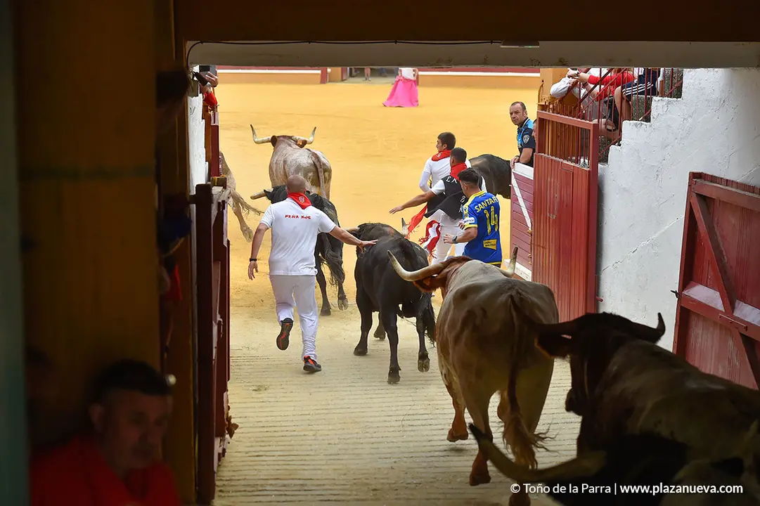 Encierro d&iacute;a 29, Fiestas de Tudela 2022 - 11