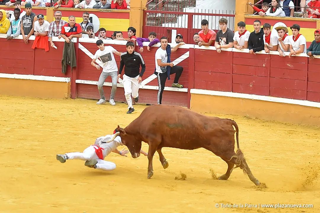 Encierro d&iacute;a 29, Fiestas de Tudela 2022 - 13