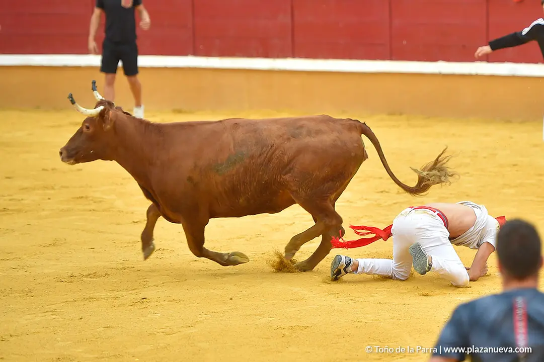 Encierro d&iacute;a 29, Fiestas de Tudela 2022 - 12