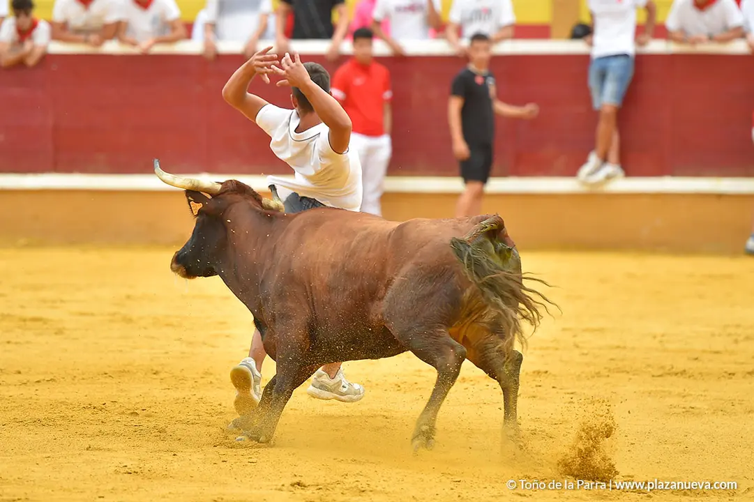 Encierro d&iacute;a 29, Fiestas de Tudela 2022 - 14