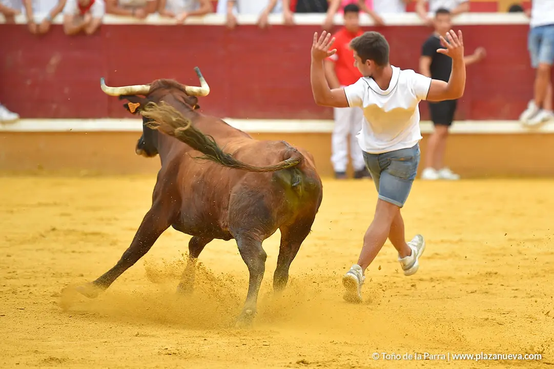 Encierro d&iacute;a 29, Fiestas de Tudela 2022 - 15