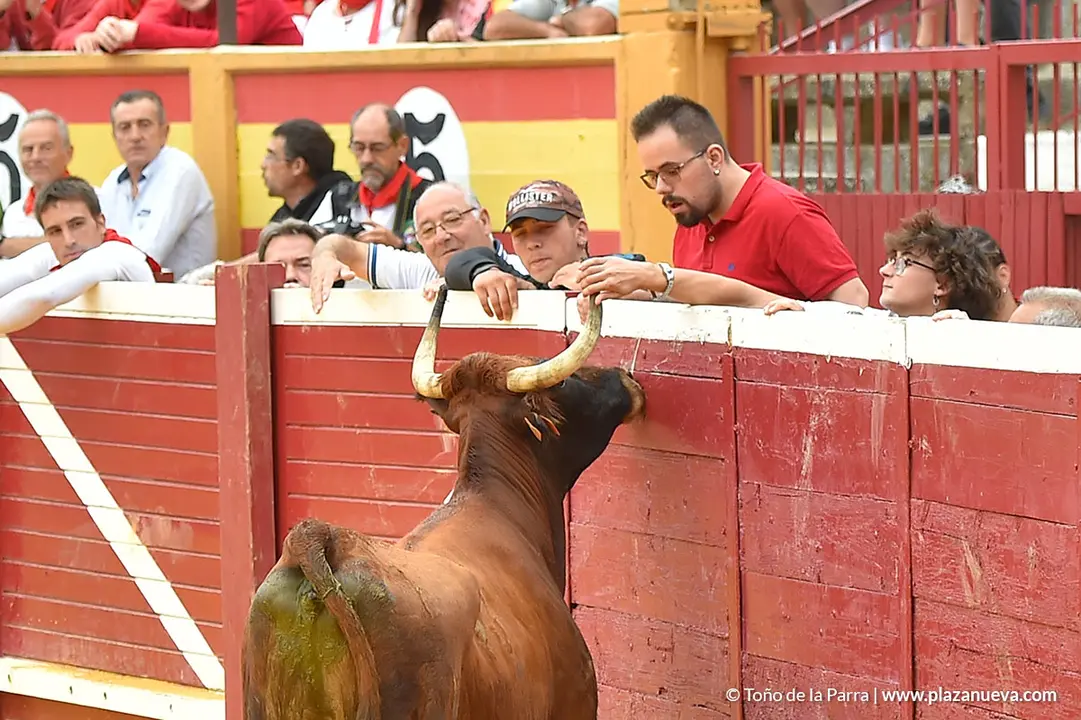 Encierro d&iacute;a 29, Fiestas de Tudela 2022 - 16