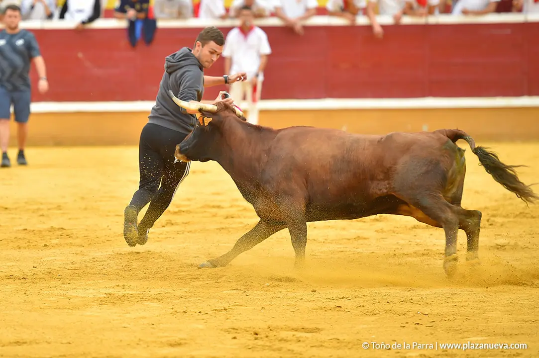 Encierro d&iacute;a 29, Fiestas de Tudela 2022 - 17