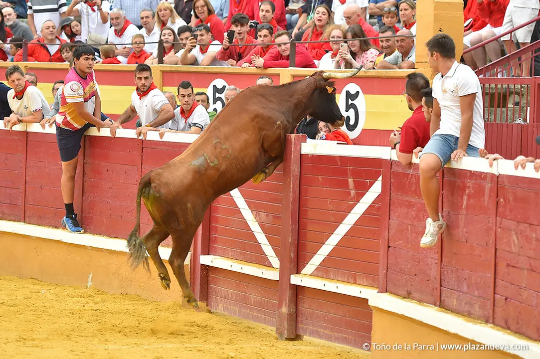 Encierro d&iacute;a 29, Fiestas de Tudela 2022 - 18