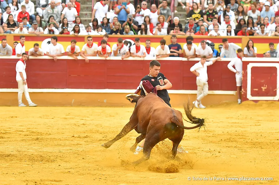 Encierro d&iacute;a 29, Fiestas de Tudela 2022 - 20