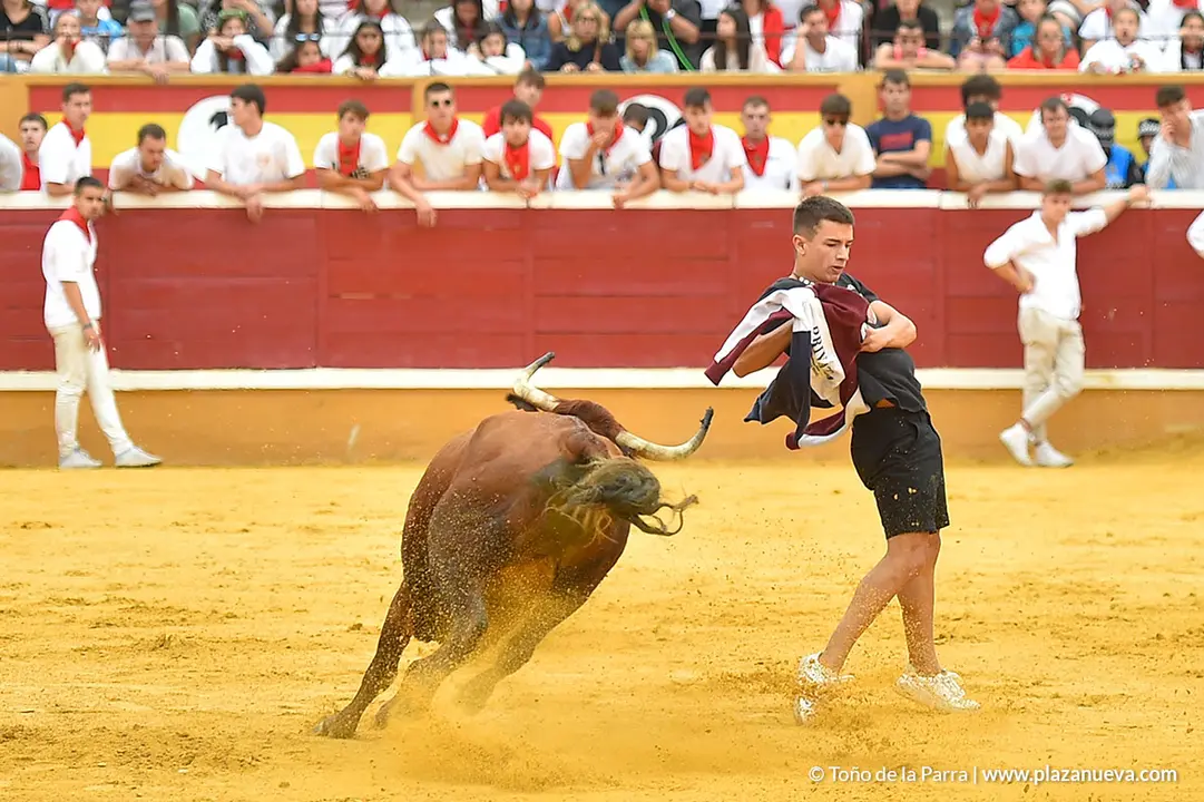 Encierro d&iacute;a 29, Fiestas de Tudela 2022 - 21