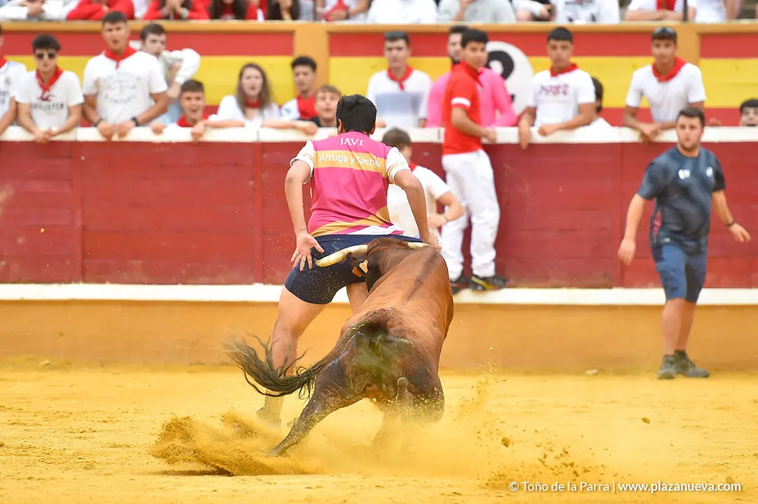 Encierro d&iacute;a 29, Fiestas de Tudela 2022 - 24
