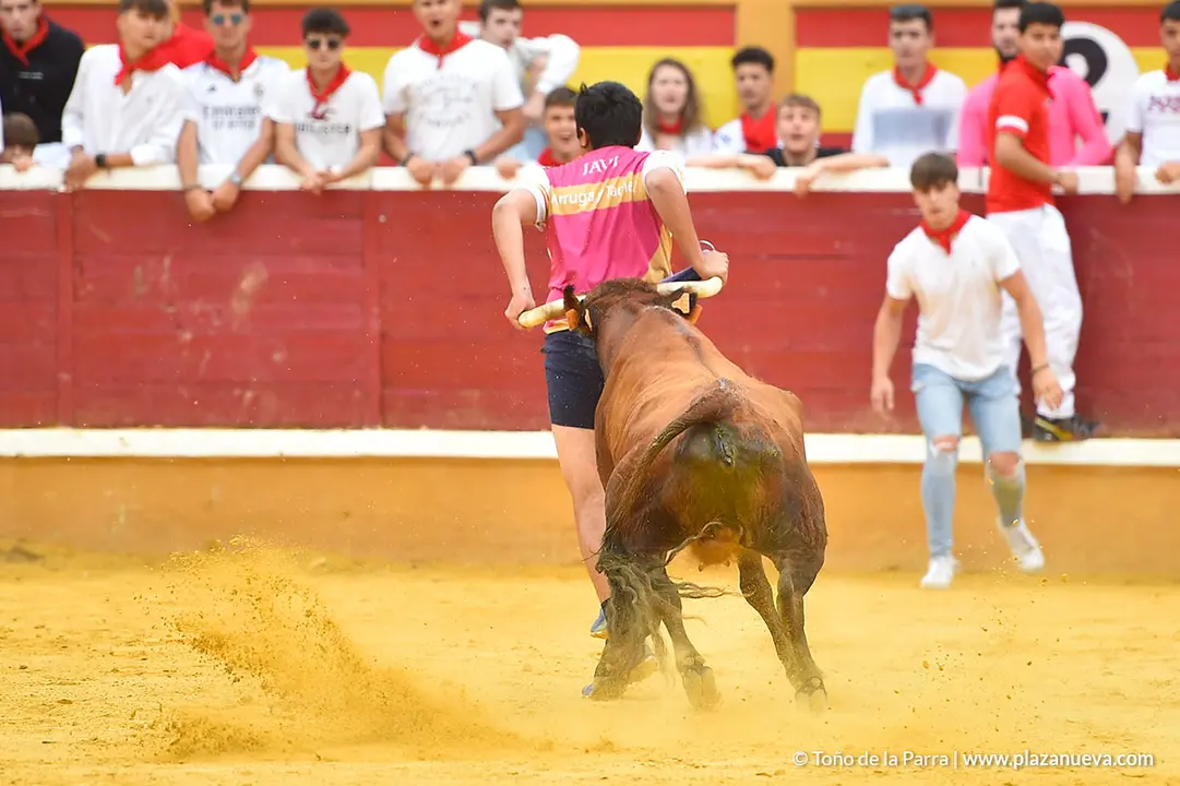 Encierro d&iacute;a 29, Fiestas de Tudela 2022 - 25