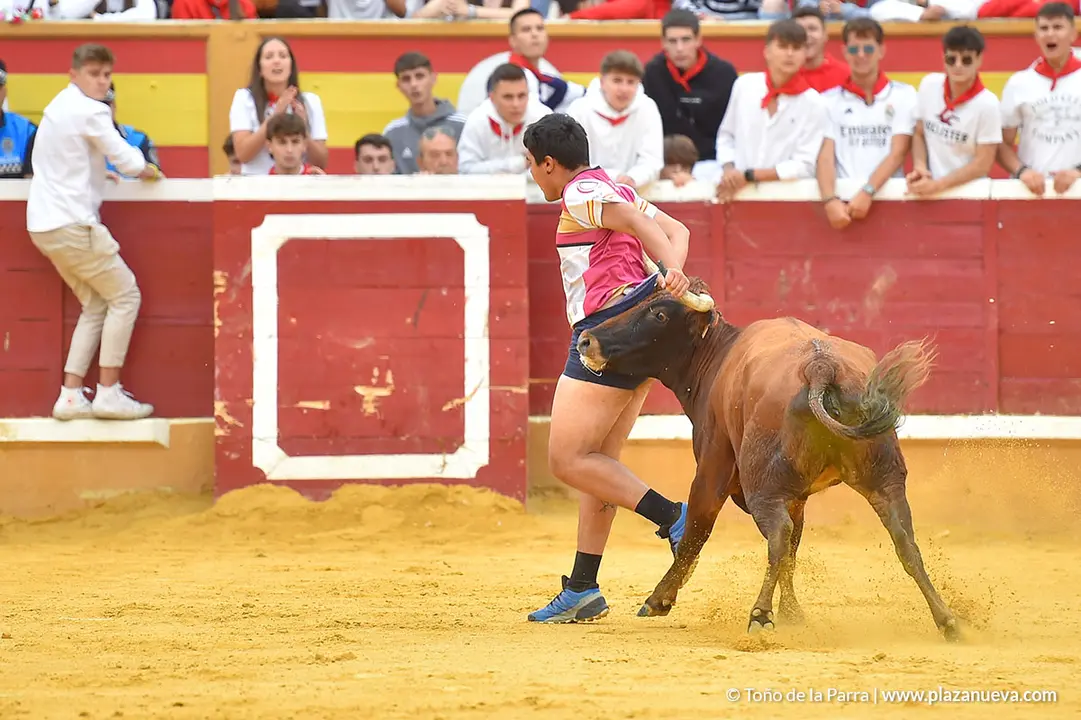 Encierro d&iacute;a 29, Fiestas de Tudela 2022 - 26