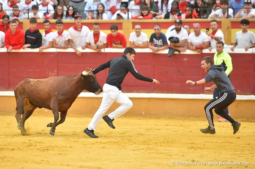 Encierro d&iacute;a 29, Fiestas de Tudela 2022 - 27