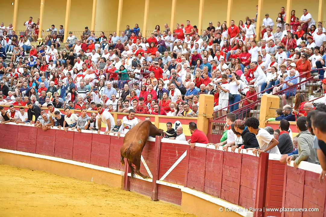 Encierro d&iacute;a 29, Fiestas de Tudela 2022 - 28