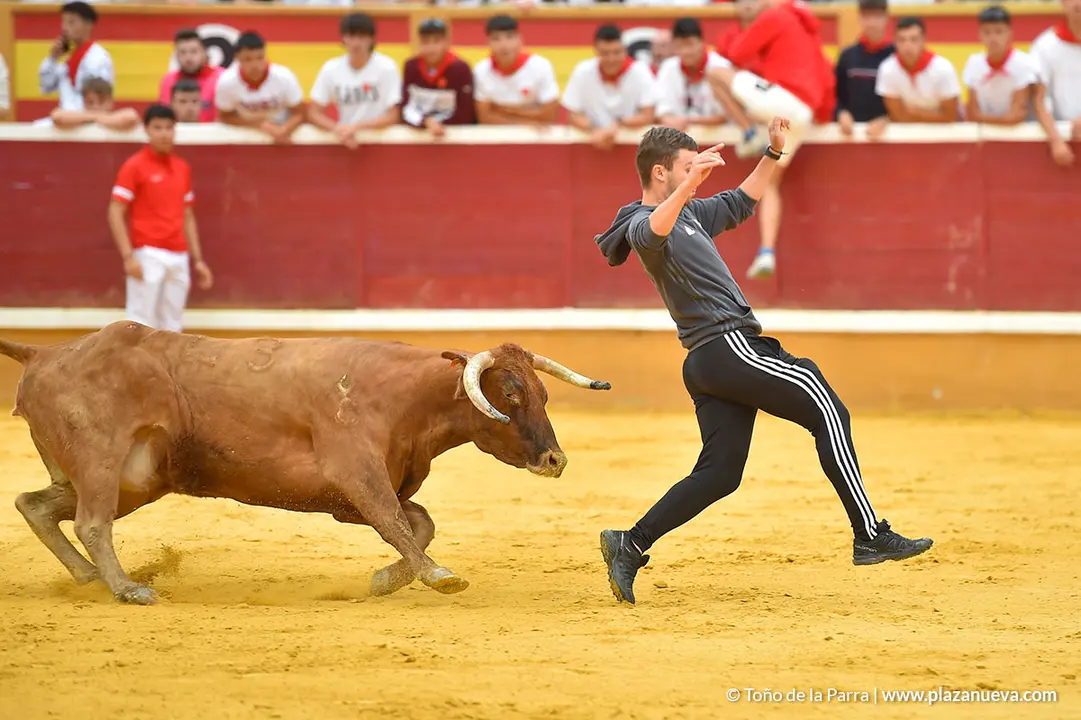 Encierro d&iacute;a 29, Fiestas de Tudela 2022 - 30