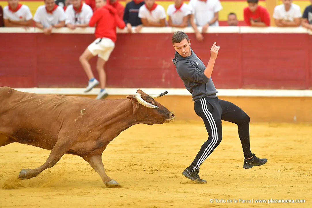Encierro d&iacute;a 29, Fiestas de Tudela 2022 - 31