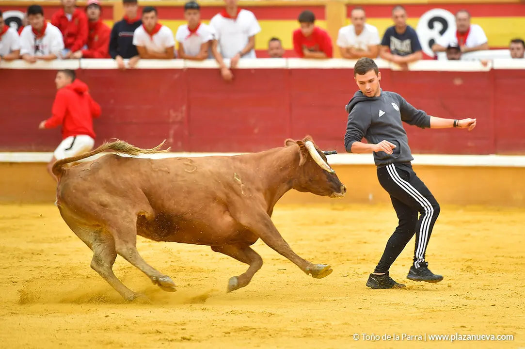 Encierro d&iacute;a 29, Fiestas de Tudela 2022 - 32