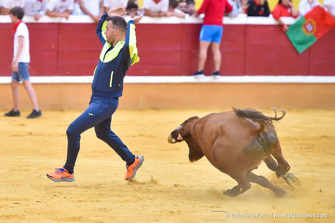 Encierro d&iacute;a 29, Fiestas de Tudela 2022 - 34