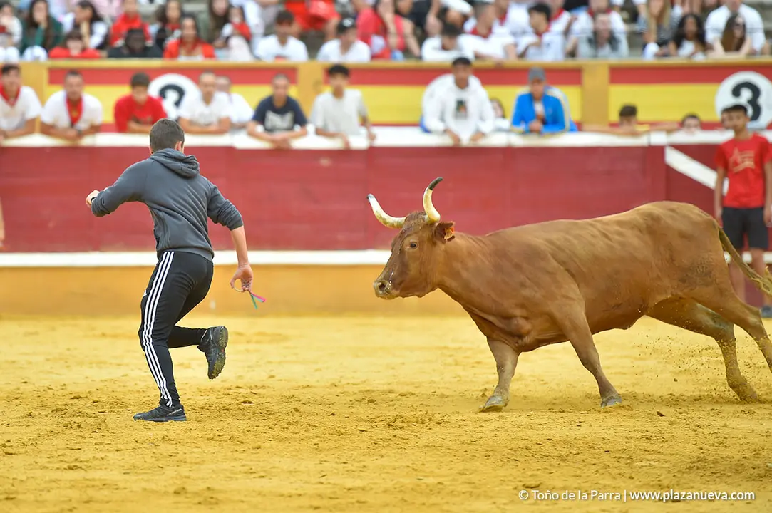 Encierro d&iacute;a 29, Fiestas de Tudela 2022 - 35