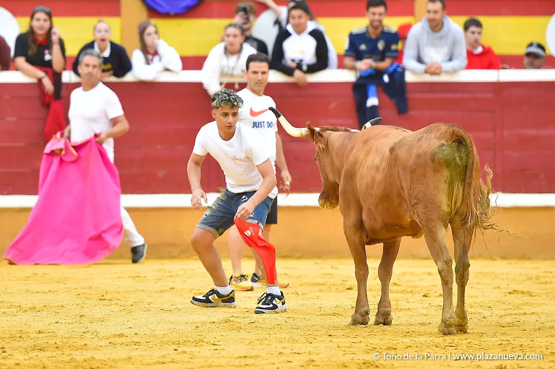 Encierro d&iacute;a 29, Fiestas de Tudela 2022 - 36