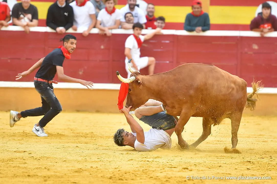 Encierro d&iacute;a 29, Fiestas de Tudela 2022 - 38