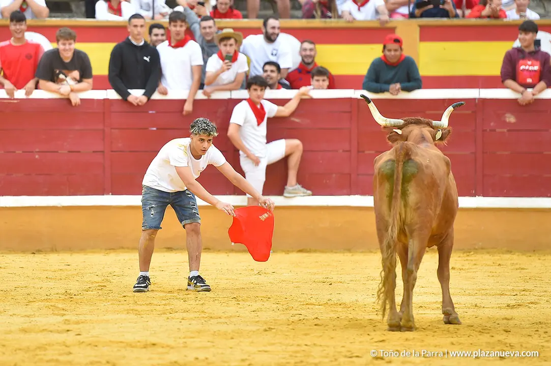 Encierro d&iacute;a 29, Fiestas de Tudela 2022 - 39