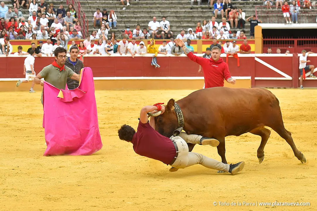Encierro d&iacute;a 29, Fiestas de Tudela 2022 - 40