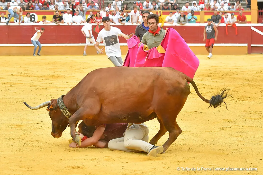 Encierro d&iacute;a 29, Fiestas de Tudela 2022 - 41