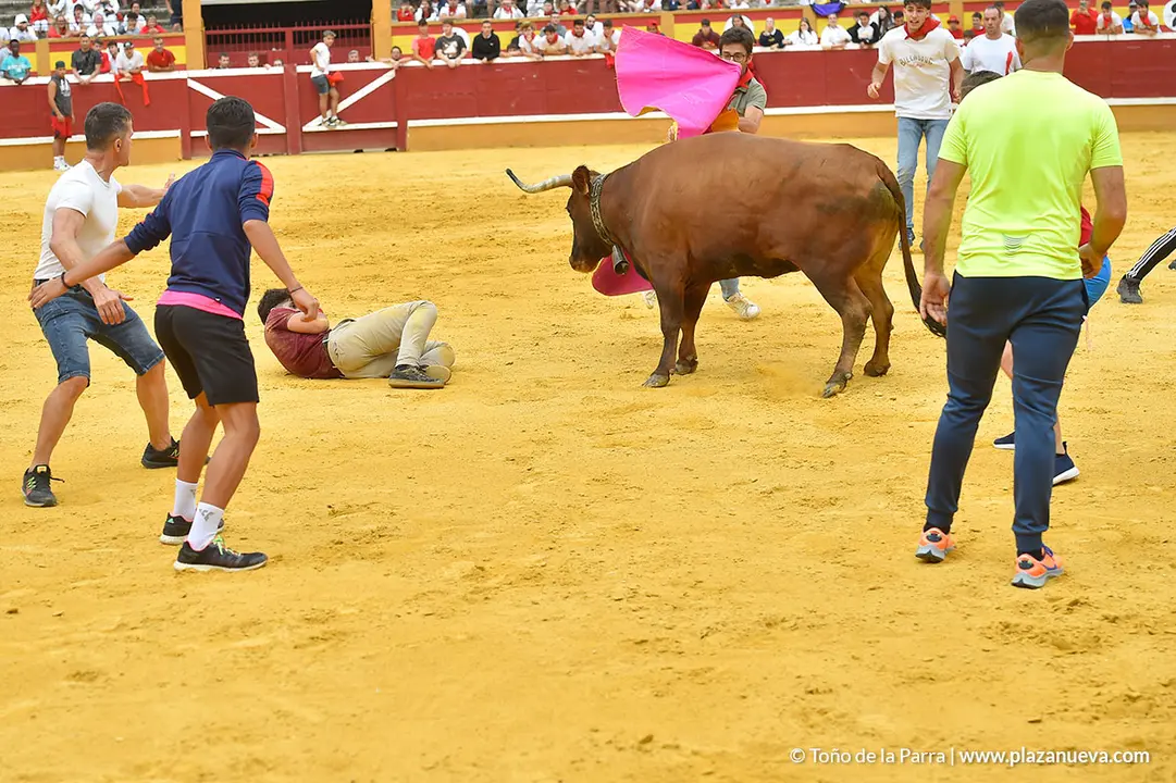 Encierro d&iacute;a 29, Fiestas de Tudela 2022 - 42