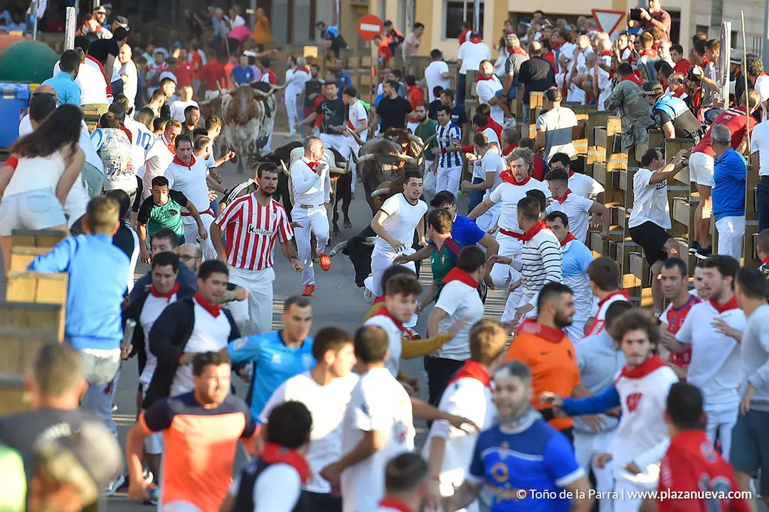 Encierro d&iacute;a 30, Fiestas de Tudela 2022 - 03
