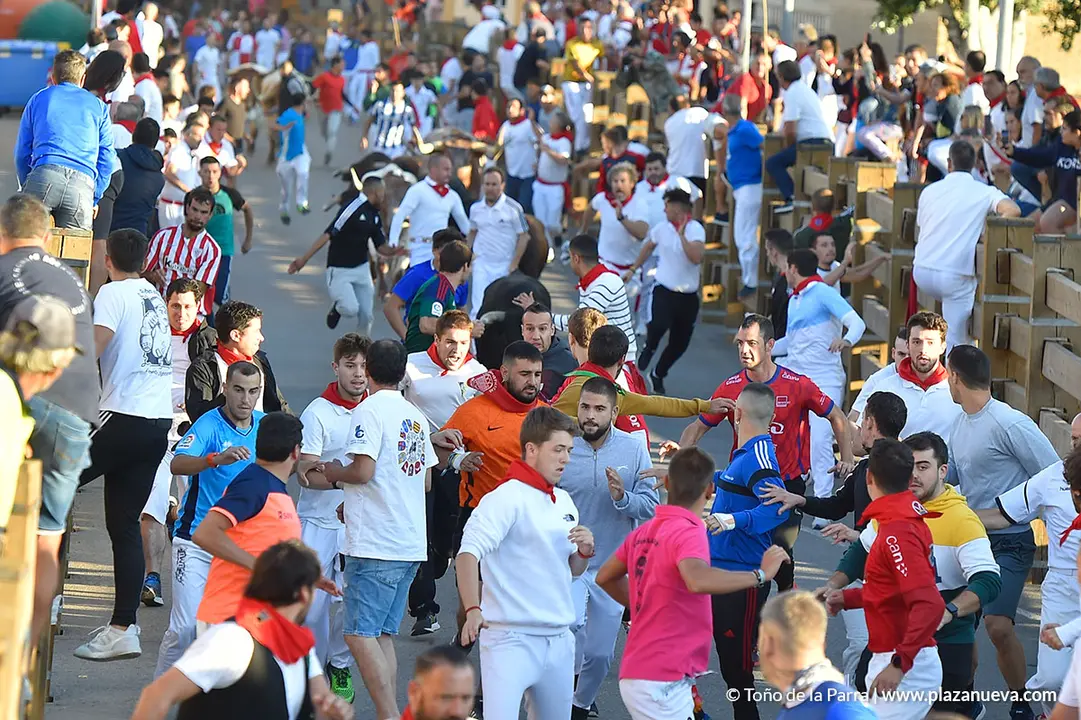 Encierro d&iacute;a 30, Fiestas de Tudela 2022 - 05