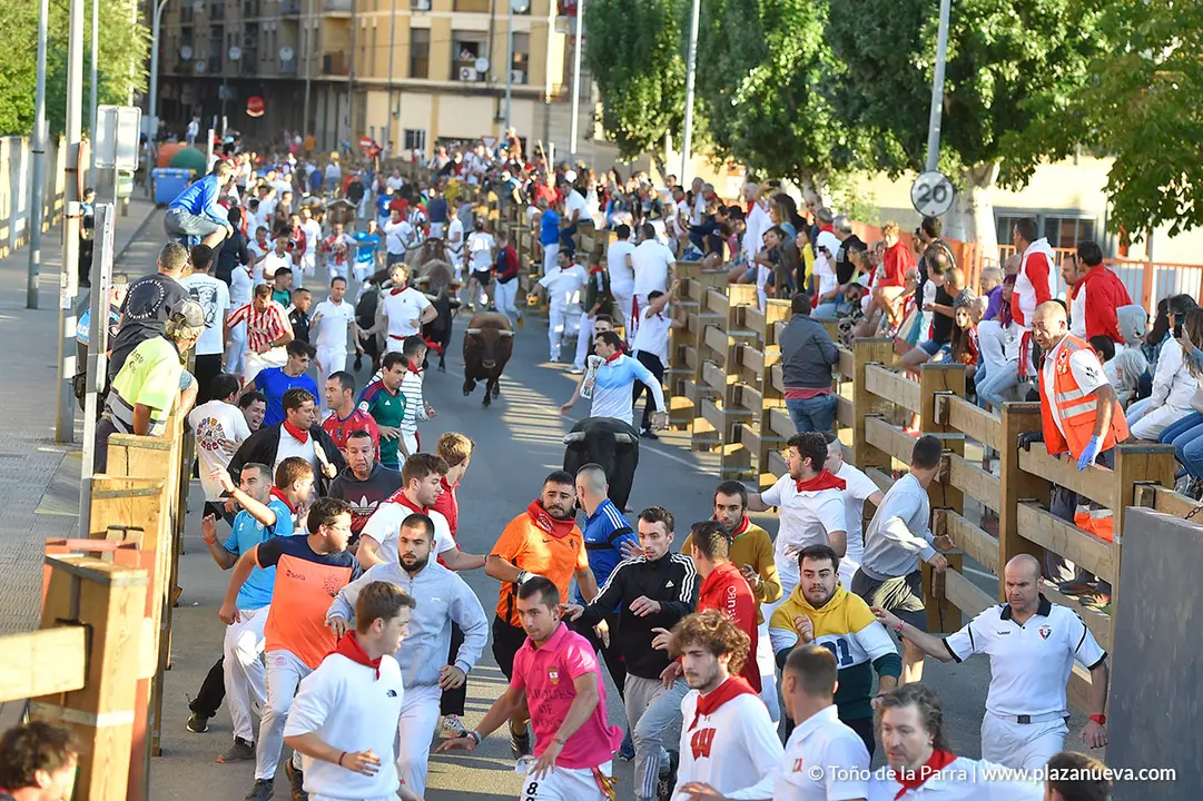 Encierro d&iacute;a 30, Fiestas de Tudela 2022 - 07