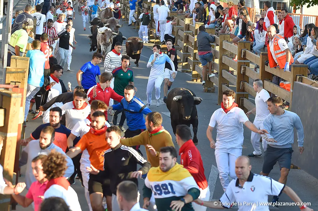 Encierro d&iacute;a 30, Fiestas de Tudela 2022 - 08